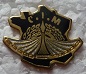 CIM PINS-2.jpg