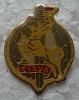 CISVA PINS-2.jpg