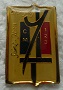 CM123 PINS-2.jpg