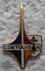 COET PINS-2.jpg