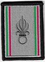 COMLE2 TISS-2.jpg