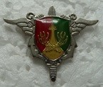 COMSEA2CA PINS-2.jpg