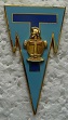 COMSIC INS-2.jpg