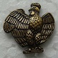 COQBRONZE PINS-2.jpg