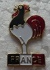 COQFRANCE PINS-2