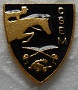 CSEM PINS-2