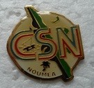 CSNNOUMEA PINS-2