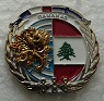 DAMAN403RH PINS-2.jpg