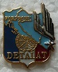 DETALATFOR PINS-2.jpg
