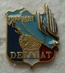 DETALATFORPRO PINS-2.jpg