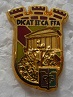 DICATIICA PINS-2.jpg