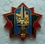 DIRGENIECMDBDX PINS-2.jpg