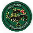 DIVSALAM2 TISS-2.jpg