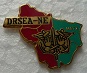 DRSEANE PINS-2.jpg