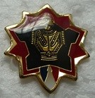 DTG2CA PINS-2.jpg