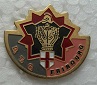 DTGFRIB PINS-2.jpg