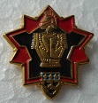 DTGLAON PINS-2.jpg