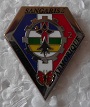 DTLOGSANGARMO PINS-2