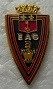 EAG2 PINS-2.jpg