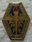 ECOLEM PINS-2.jpg