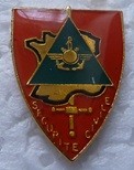 EMSECUCIV PINS-2.jpg