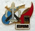 ERMBESANC PINS-2.jpg