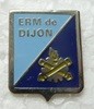 ERMDIJ PINS-2.jpg