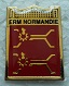 ERMNORM PINS-2.jpg