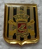 ERMVANNES PINS-2.jpg