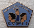 ESMATCIVIL PINS-2.jpg