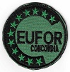 EUFCONCORD TISS-2.jpg