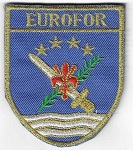 EUROFOR2 TISS-2.jpg