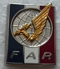 FAR PINS-2.jpg