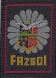 FAZSOI TISS-2.jpg