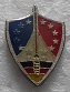 FFSA PINS-2.jpg
