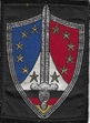 FFSA TISS-2.jpg