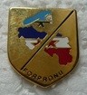FORPRO5 PINS-2.jpg