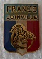 FRJOINVILLE PINS-2.jpg