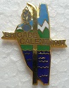 GENDCALENZ PINS-2.jpg
