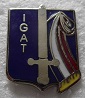 IGAT PINS-2pg.jpg