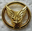 INSBERETALAT PINS-2.jpg