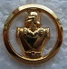 INSBERETGENIE PINS-2.jpg