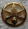 INSBERETINF PINS-2.jpg