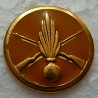 INSBERETINFPARA PINS-2.jpg