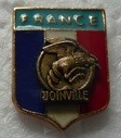 JOINVILLE3 PINS-2.jpg