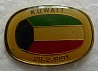 KUWAIT PINS-2.jpg
