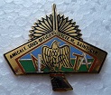 LYCSTCYR PINS-2.jpg