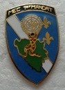 MEC1MANDAT PINS-2.jpg