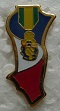 MEDMILIINDO PINS-2.jpg