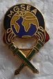 MGSEA PINS-2.jpg